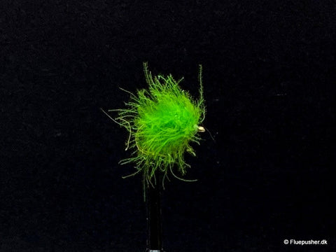Cdc Cactus chartreuse