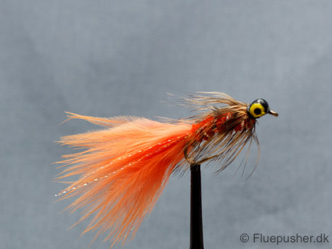 Orangefarbener Grizzly