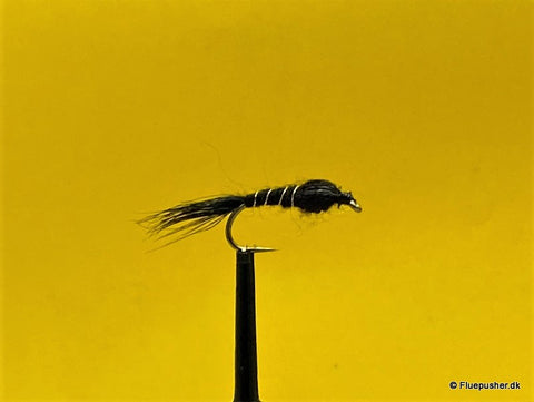 Black goldribbet Pheasant tail