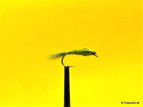 Olive goldribbet Pheasant tail