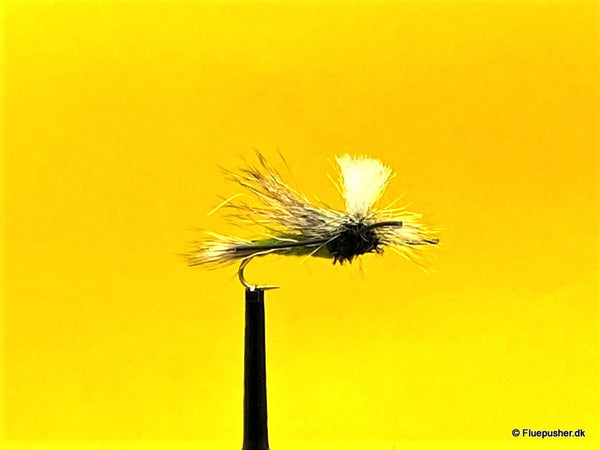 Head on Humphies peacock olive