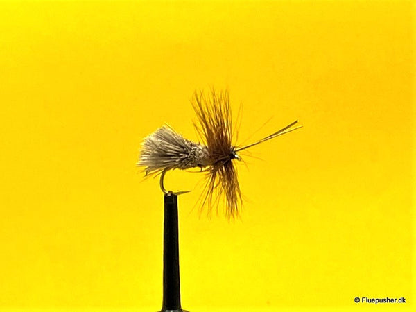 Goddard Caddis