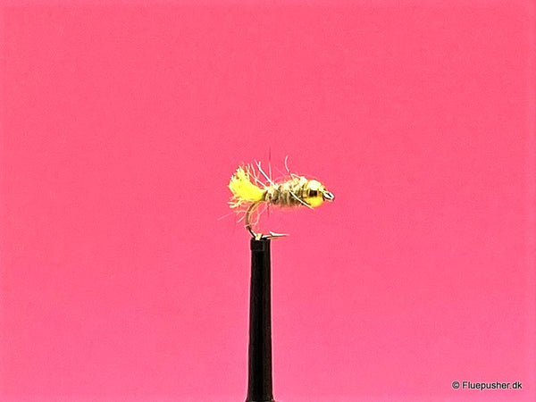 Hares Ear yellow tail gh