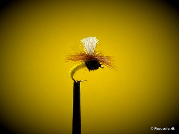 Klinkhammer yellow