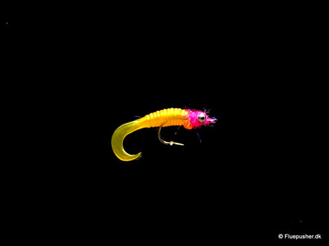 Die Gummifliege ist unfruchtbar