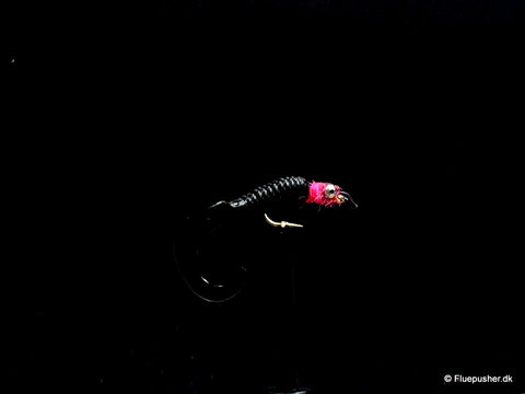 Der Gummifliege schwarz