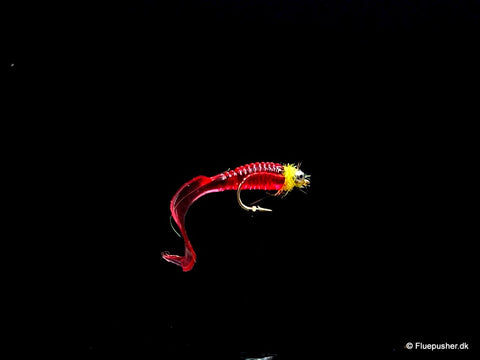 Die Gummifliege ist leuchtend rot