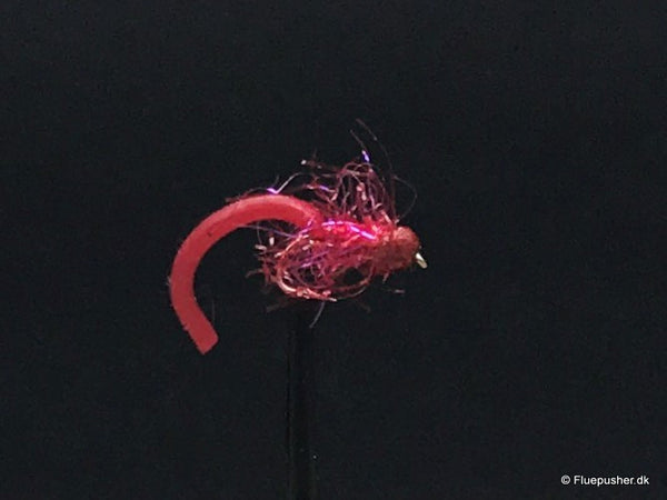 Red worm