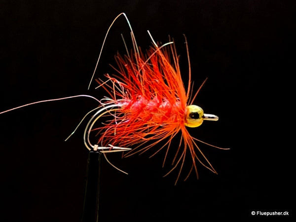 Orange nandu gh