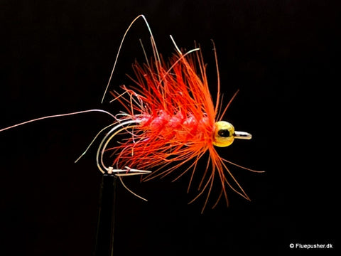 Orange Nandu gh