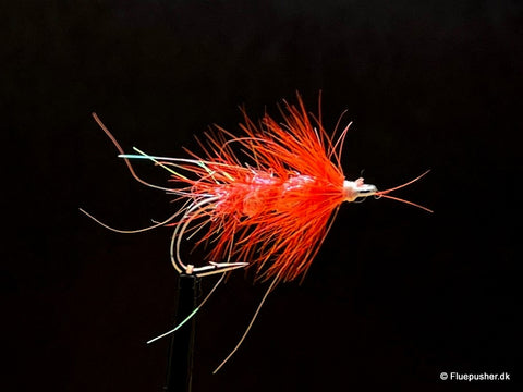 Orange Nandu