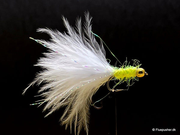 Hvid/gylden Græker stinger uv