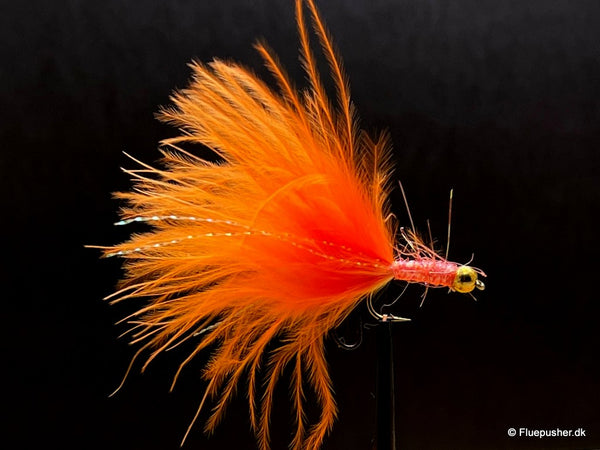 Orange/koral Græker stinger uv