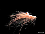 Coral das Ferkel