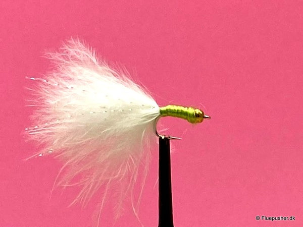 Harlev nymphen oliven long tail