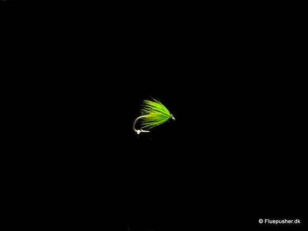 Grüne Mücke beschwert