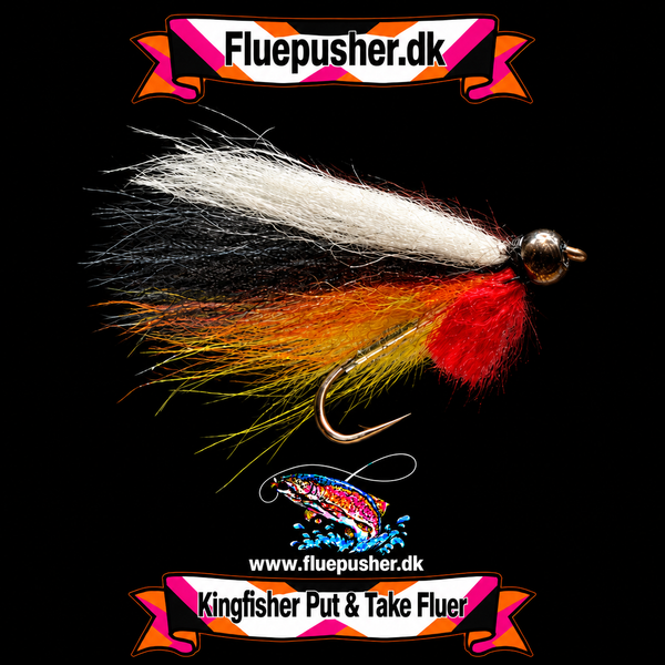 Pusher fly