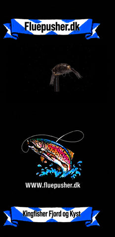 Kingfisher Fjord og Kyst – Sort Tangloppe GH