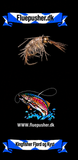 Kingfisher Fjord og Kyst – Tanglopper