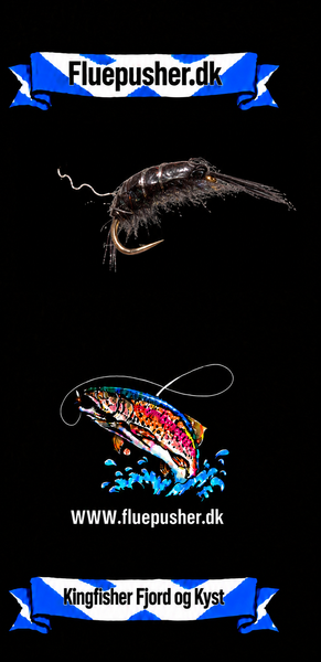 Kingfisher Fjord og Kyst – Tanglopper