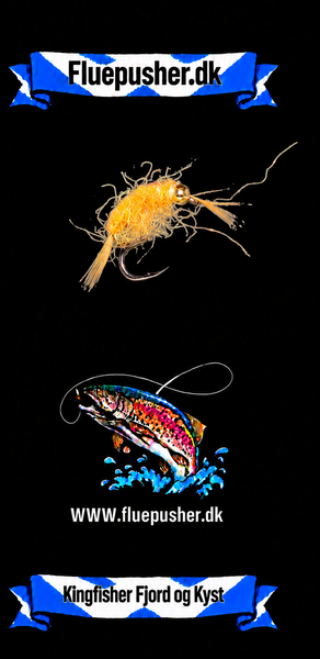 Kingfisher Fjord og Kyst – Tanglopper