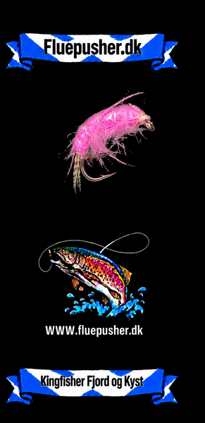 Kingfisher Fjord og Kyst – Tanglopper