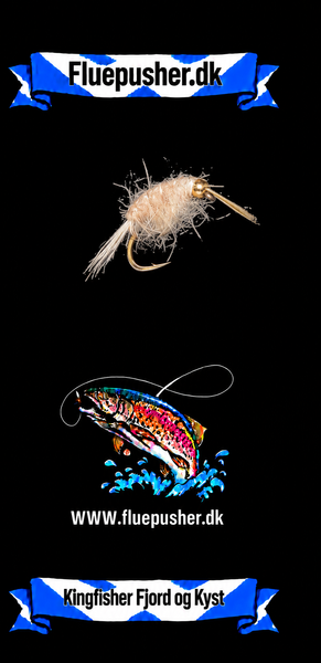 Kingfisher Fjord og Kyst – Tanglopper