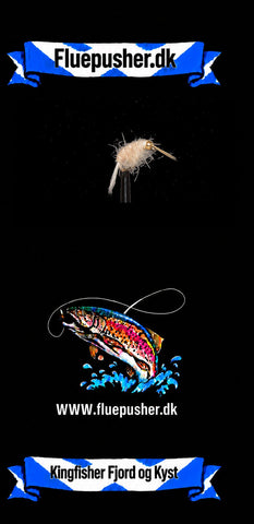 Kingfisher Fjord og Kyst – Hvid Tangloppe GH