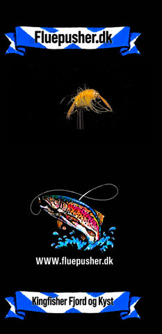 Kingfisher Fjord og Kyst – Orange Tangloppe GH