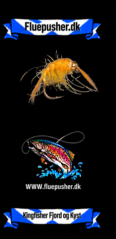 Kingfisher Fjord og Kyst – Orange Tangloppe GH