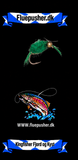 Kingfisher Fjord og Kyst – Tanglopper