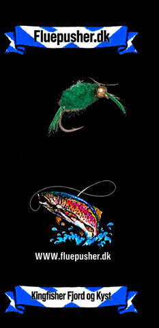 Kingfisher Fjord og Kyst – Grøn Tangloppe GH