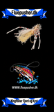 Kingfisher Fjord og Kyst – Shrimp