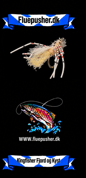 Kingfisher Fjord og Kyst – Shrimp