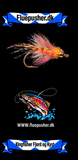 Kingfisher Fjord og Kyst – Magnus