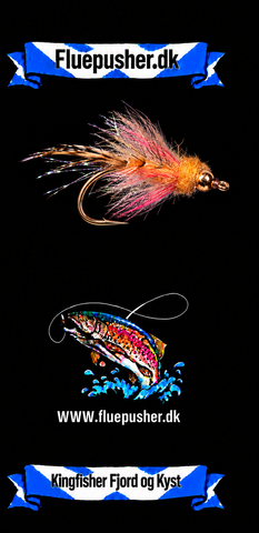 Kingfisher Fjord og Kyst – Polar Magnus Mini