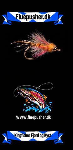 Kingfisher Fjord og Kyst – Polar Magnus Mini