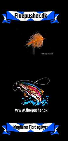 Brenda-Variante