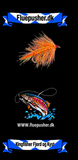 Kingfisher Fjord og Kyst – Brenda/Brendas mor