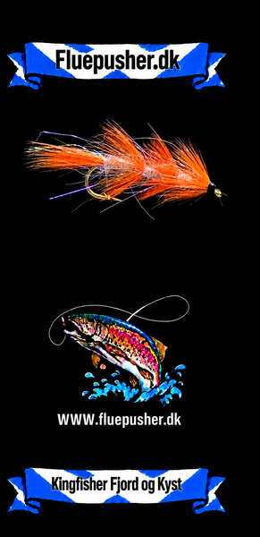 Kingfisher Fjord og Kyst – Brenda/Brendas mor