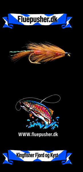 Kingfisher Fjord og Kyst – Brenda/Brendas mor