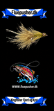 Kingfisher Fjord og Kyst – Ulkeunger