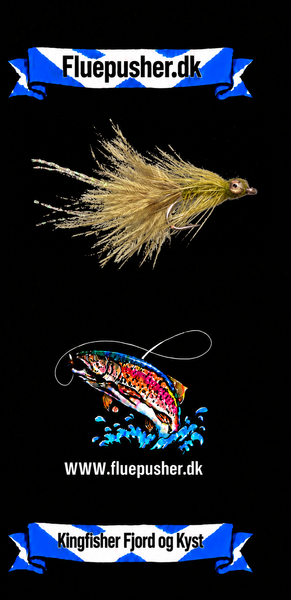 Kingfisher Fjord og Kyst – Ulkeunger