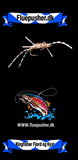 Kingfisher Fjord og Kyst – Shrimp