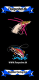 Kingfisher Fjord og Kyst – Shrimp