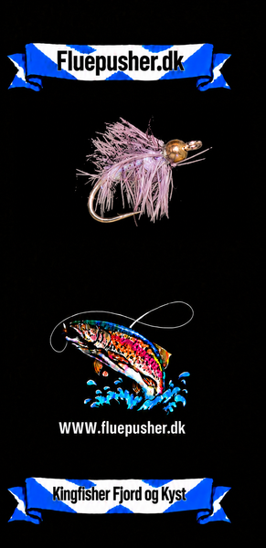 Kingfisher Fjord og Kyst – Nandu