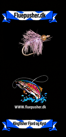 Kingfisher Fjord og Kyst – Grey Nandu GH