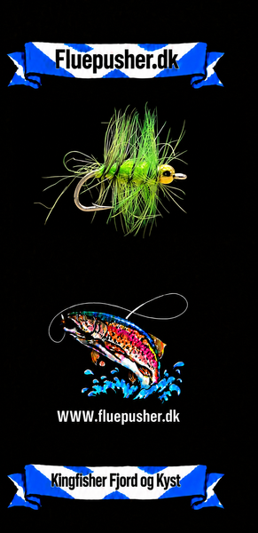 Kingfisher Fjord og Kyst – Nandu