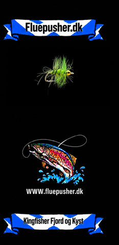 Kingfisher Fjord og Kyst – Olive Nandu GH