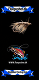 Kingfisher Fjord og Kyst – Tanglopper
